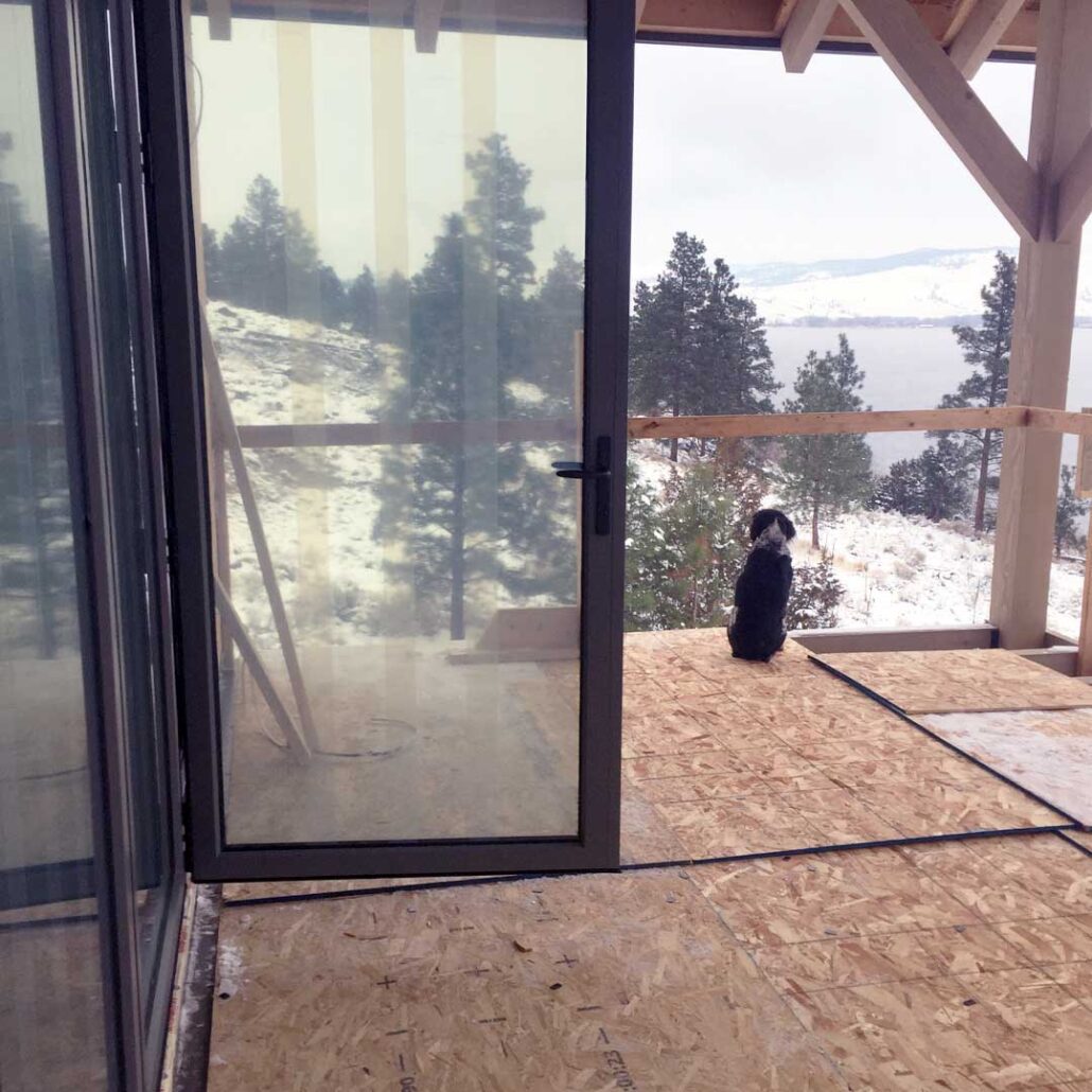 cute puppy loves folding sliding doors